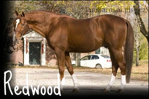 Redwood
