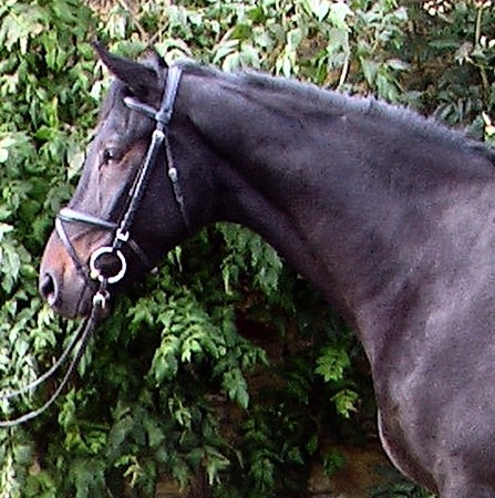 Tantal