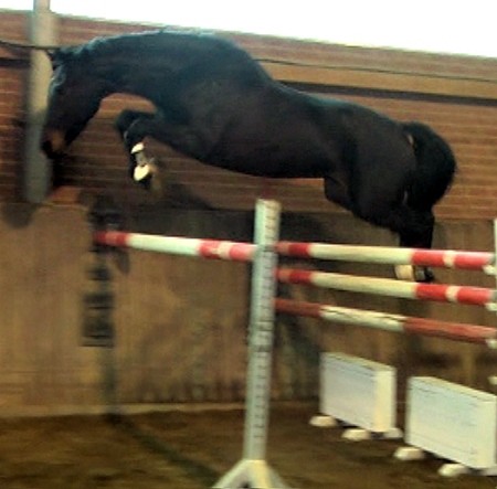 Tantal