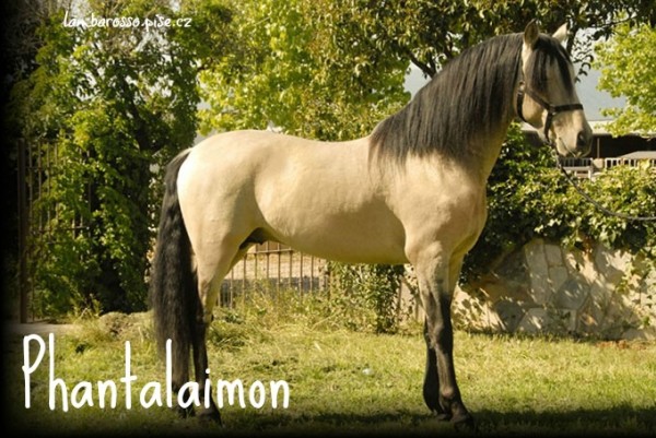 Phantalaimon