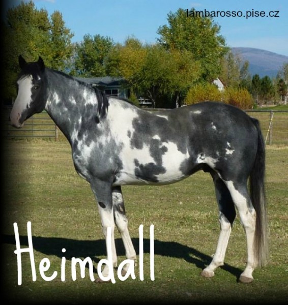 Heimdall